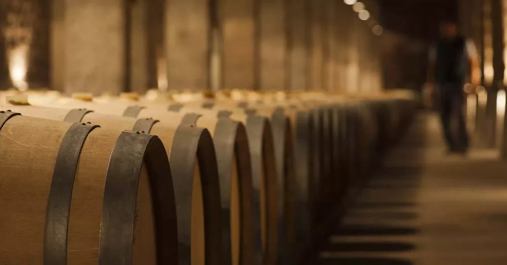 bodega-mendoza-rec