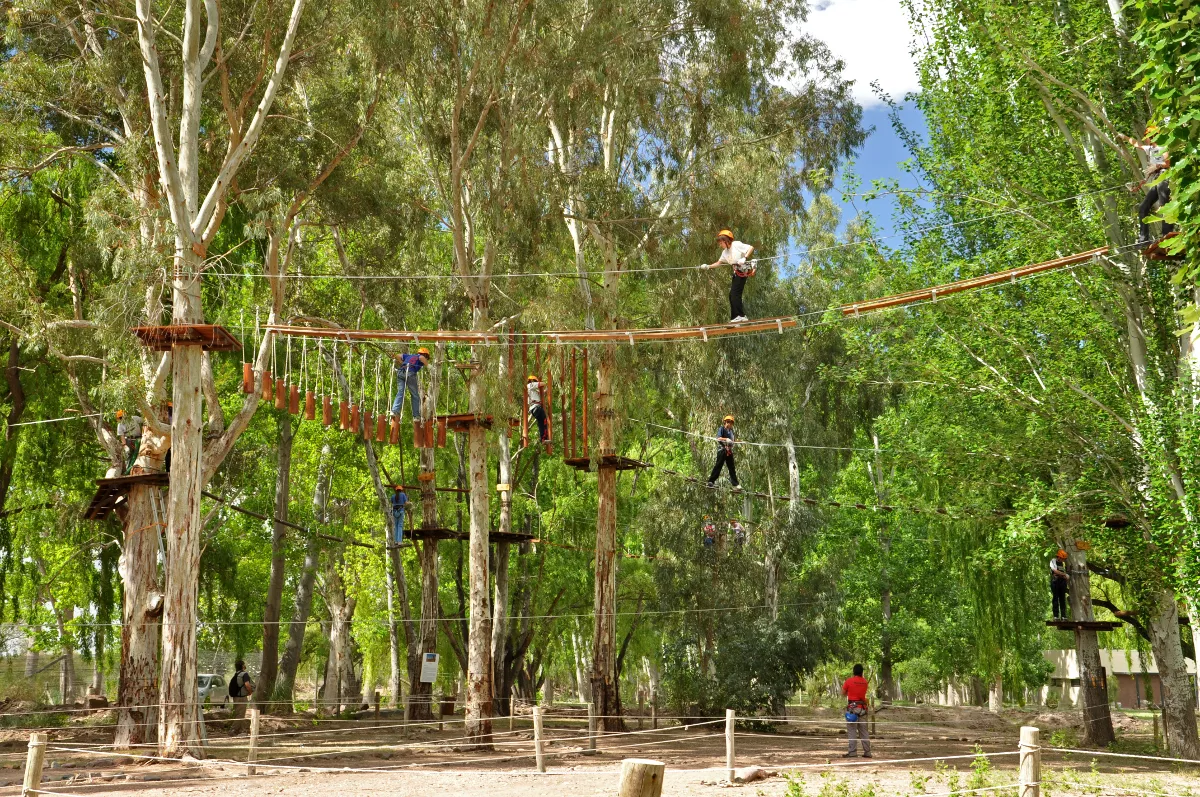 101021eucacarinagarbin152