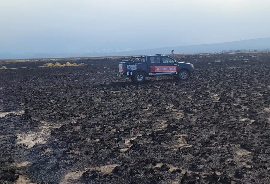 WhatsApp-Image-2024-07-18-at-15.44.42