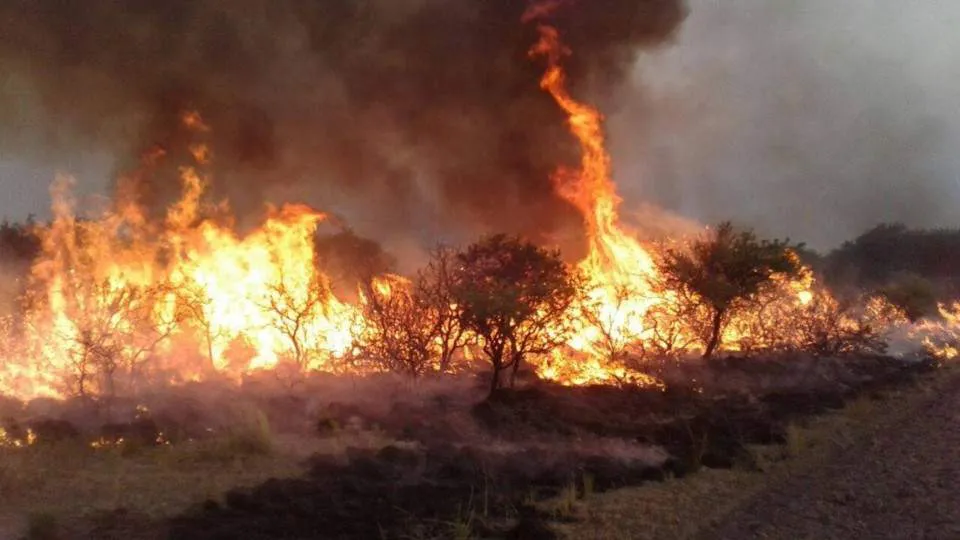 general_alvear_incendios_486586458645645