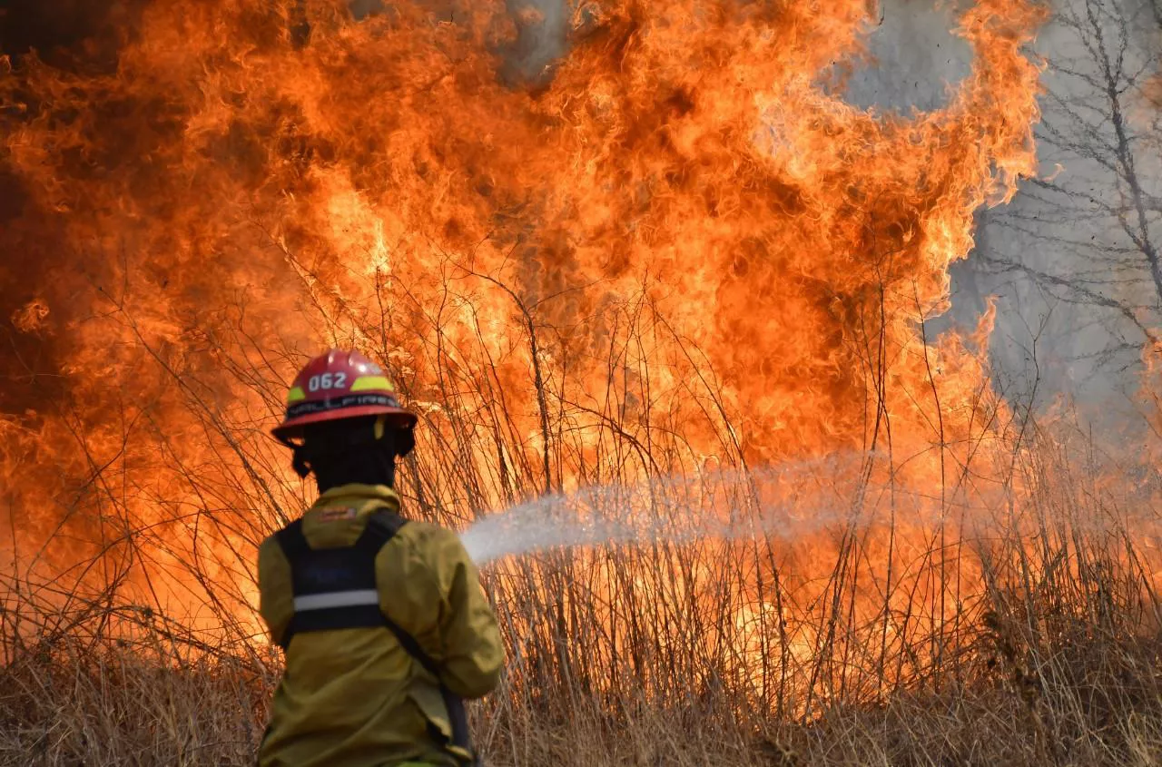 combatiente_incendio_forestal_-__4_de_mayo