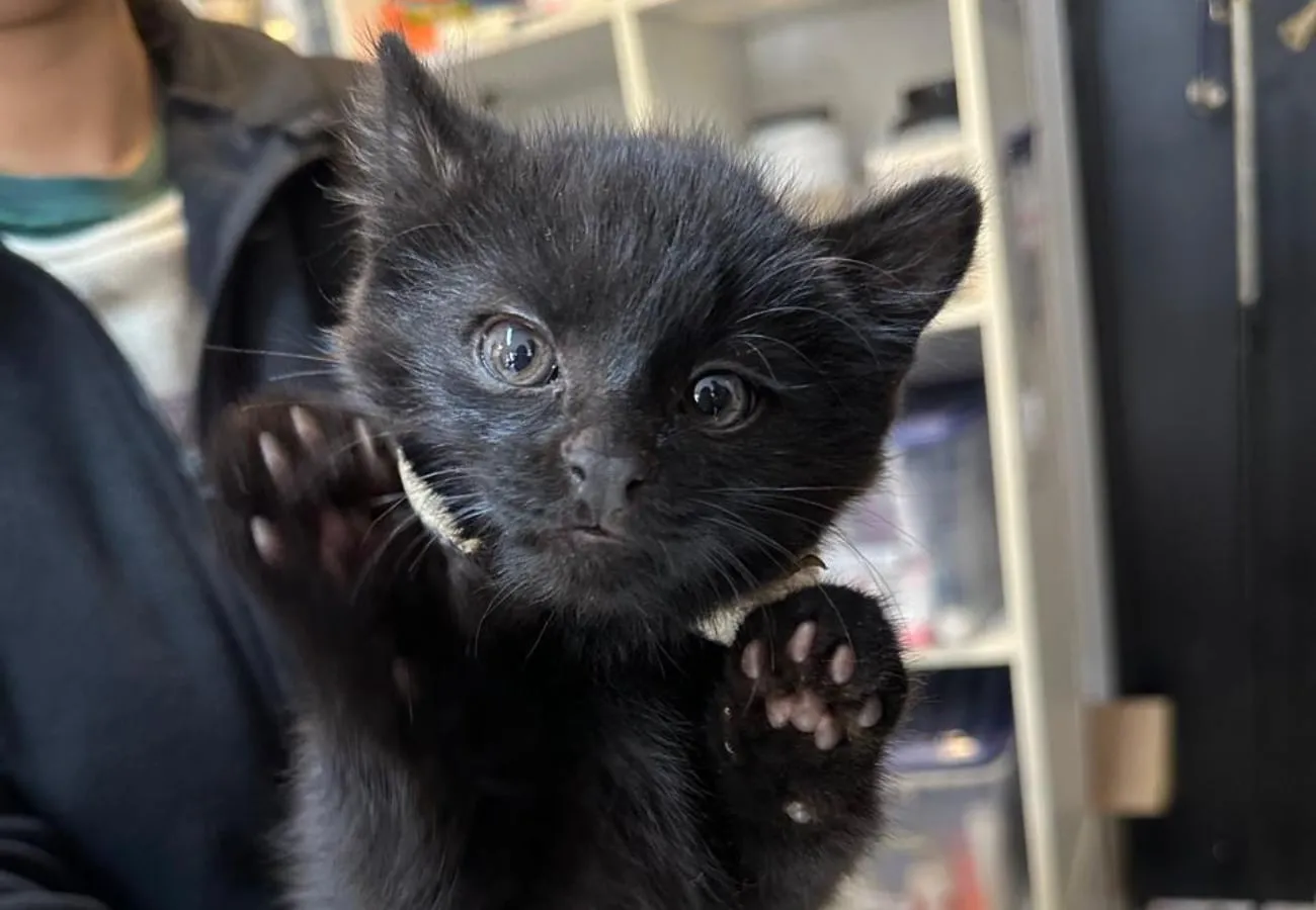 M5JD55PSPBFG5D4DPUWSQLVSV4